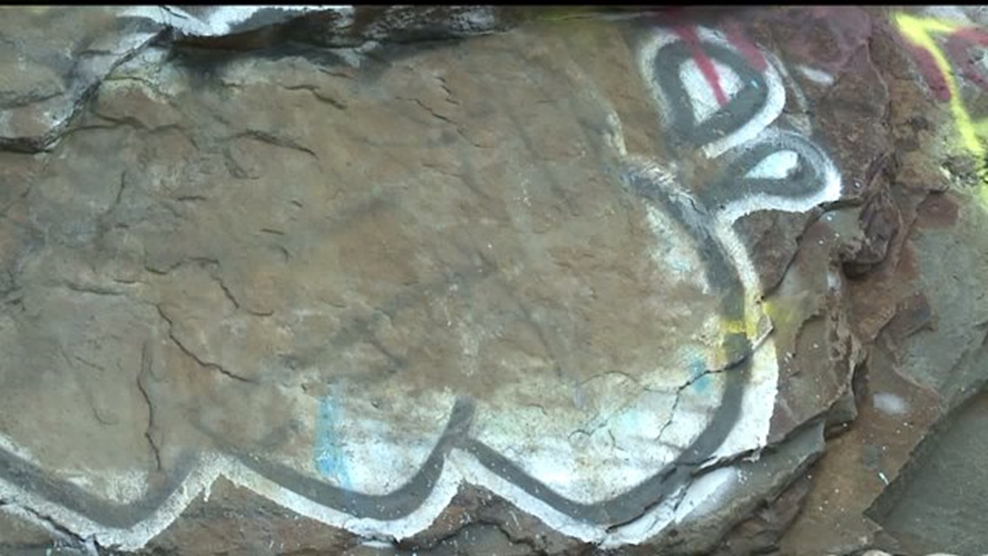 REED TOWNSHIP CLEANING UP APPALACHIAN TRAIL