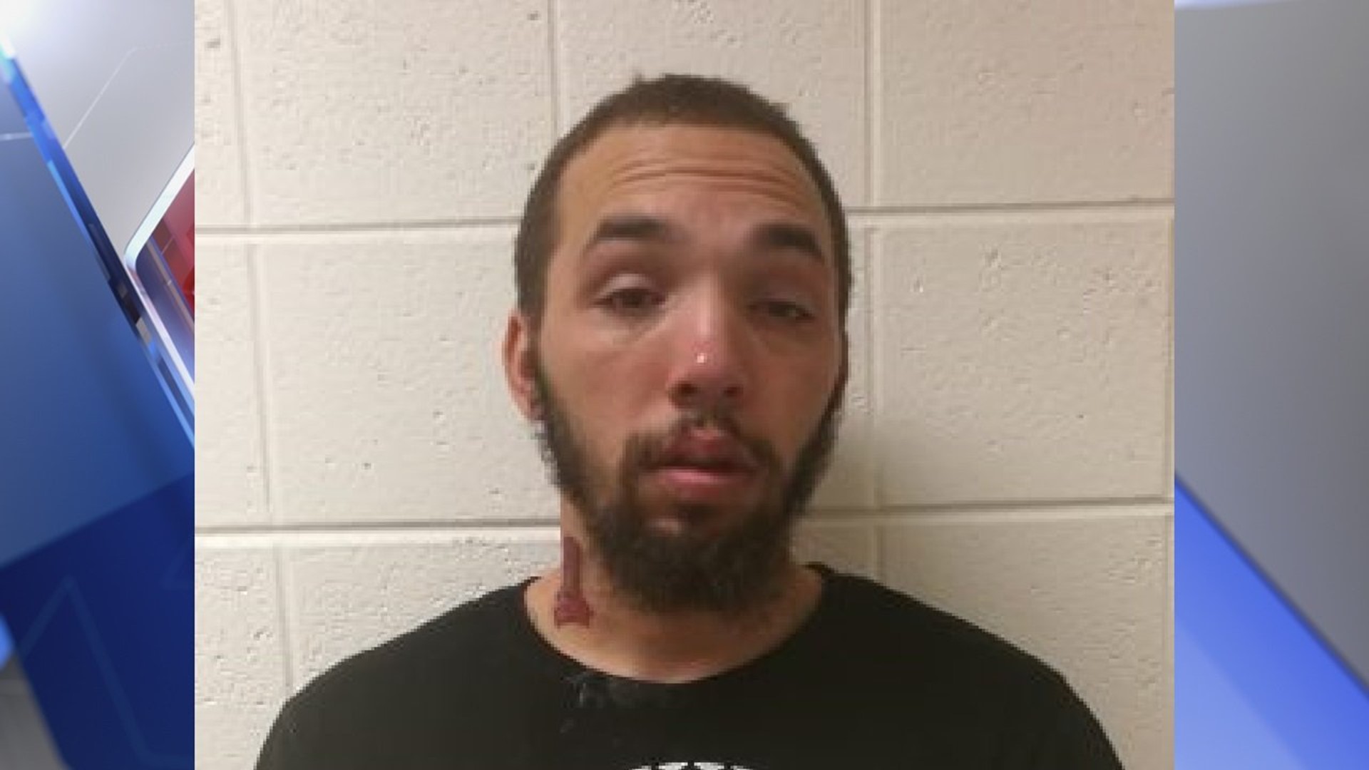 Maryland man charged with animal cruelty after allegedly stabbing his ...
