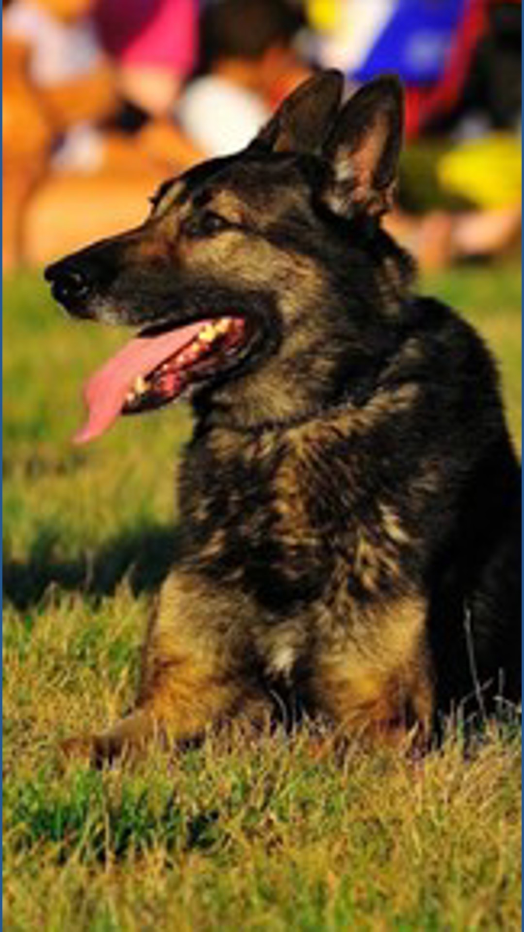 Silver Spring Township police seek community support to replace ...