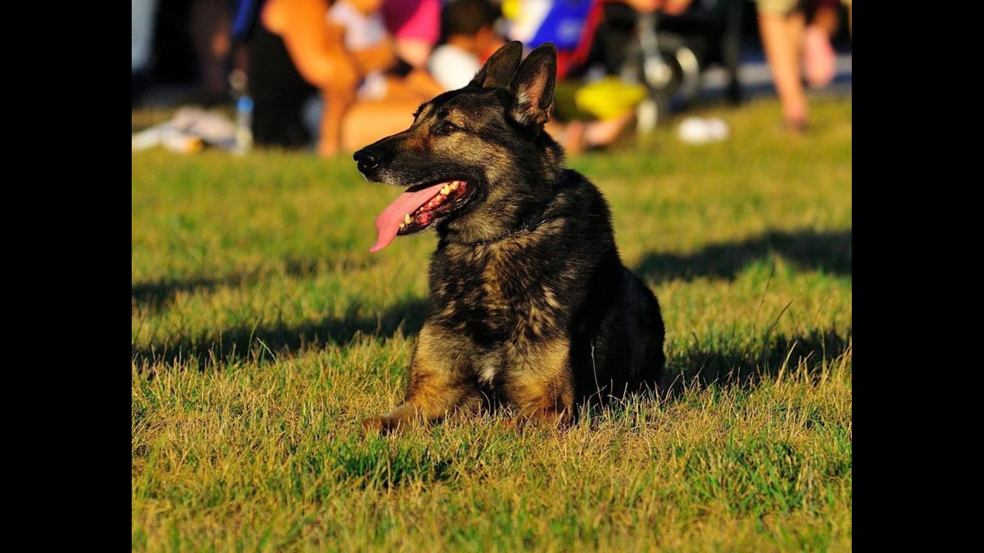 Silver Spring Township police seek community support to replace ...
