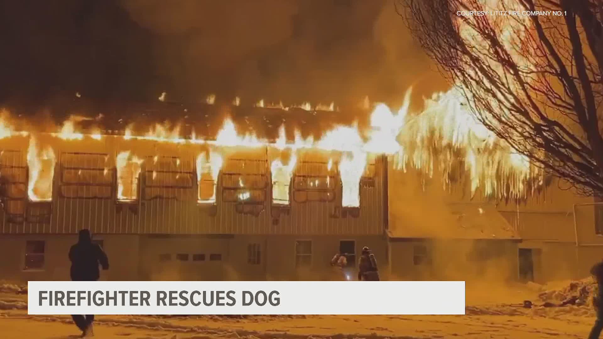 A dog was rescued from a barn that was engulfed in flames over the weekend, and a camera that was on top of one of the firefighter's helmet captured the moment