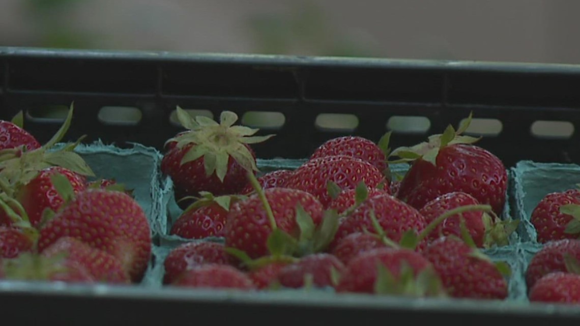 Mobile farmers market kicks off in York County - Vimarsana News