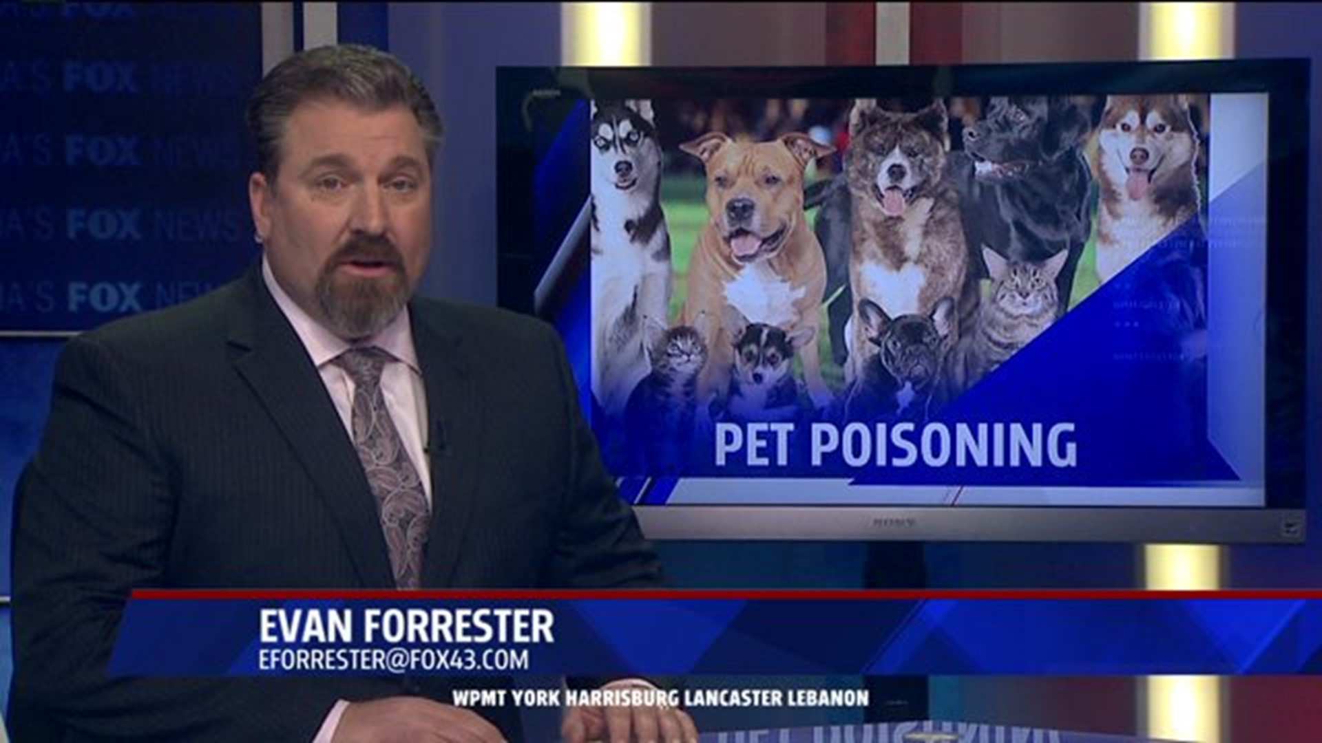 Pet poisoning happening in Dauphin County