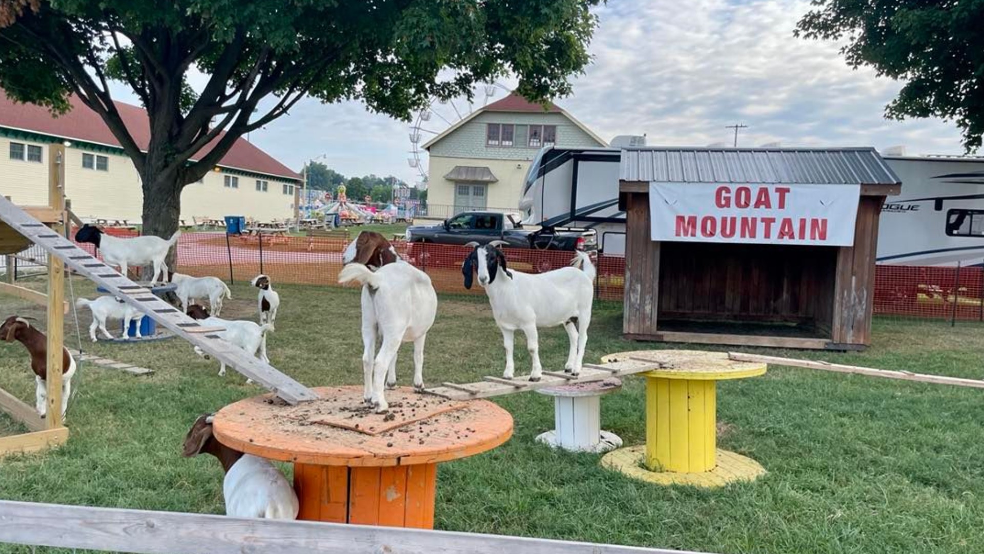 A number of agricultural and animal exhibits are helping keep the fair's roots in focus this year.