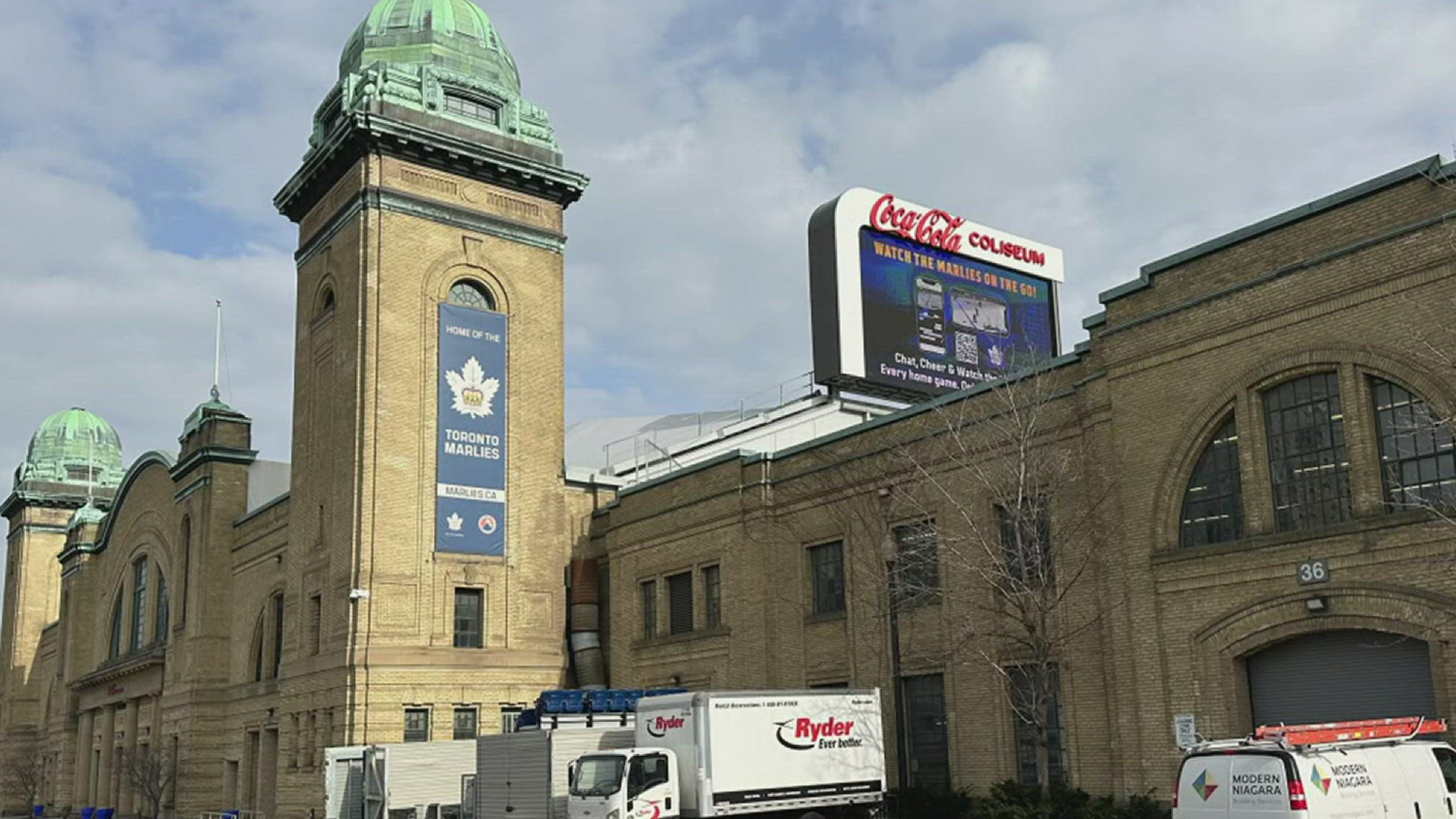 What it's like cheering on the Toronto Marlies