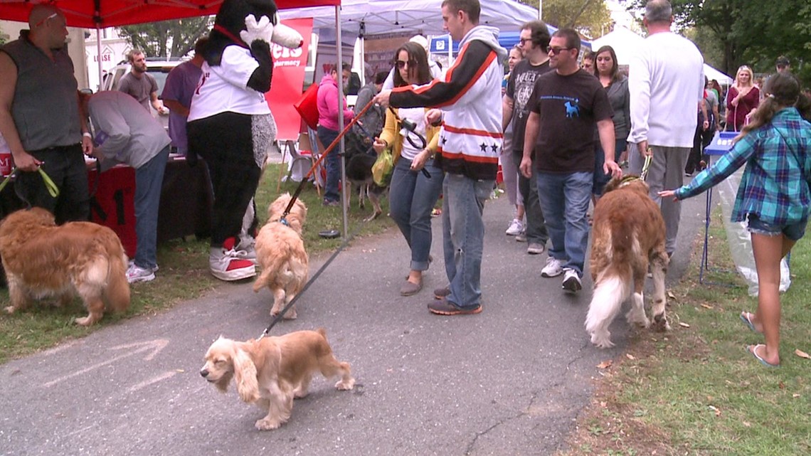 Harrisburg goes to the dogs for Woofstock 2015