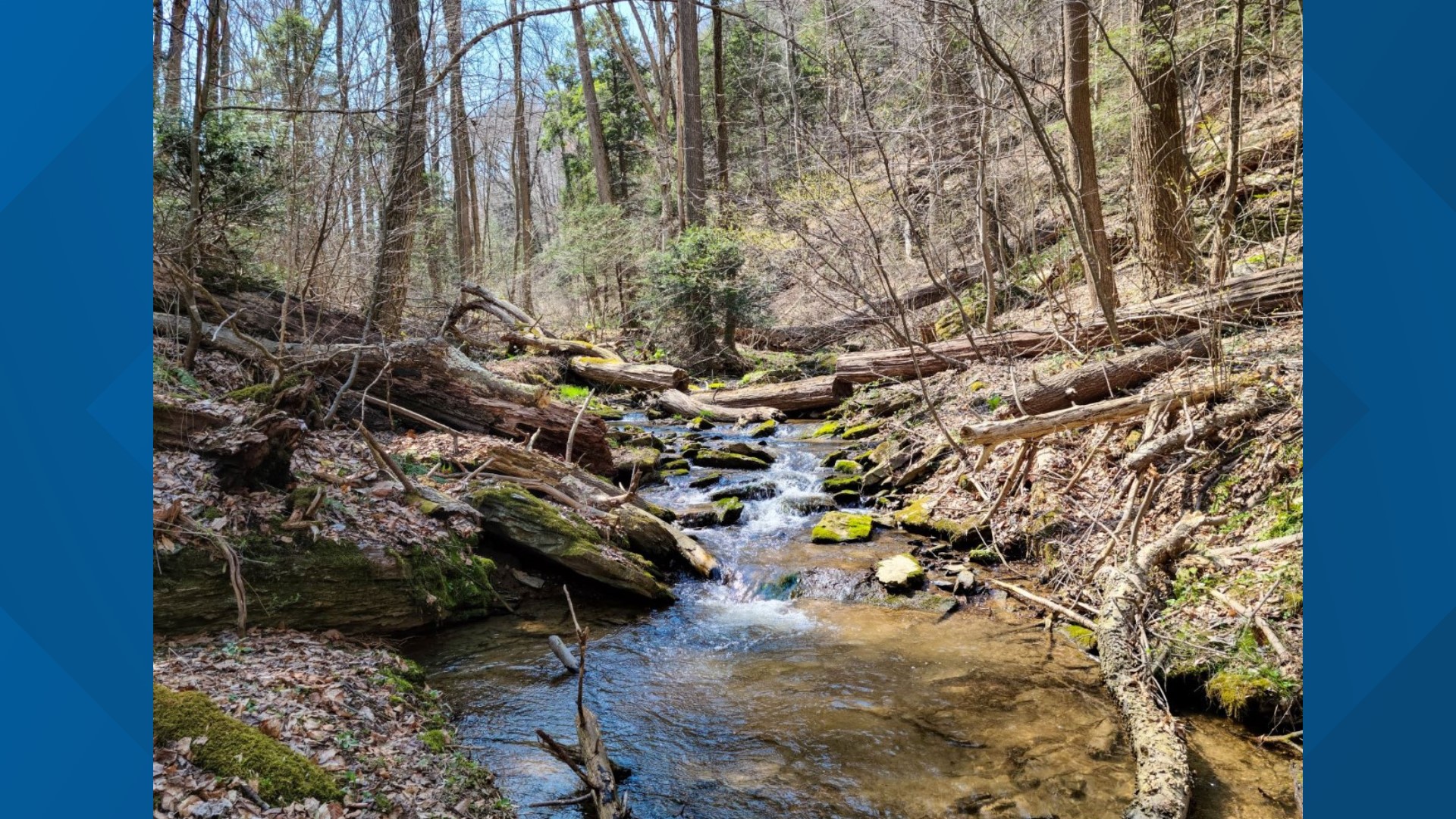 Lancaster Conservancy acquires 270acre tract of land in York County