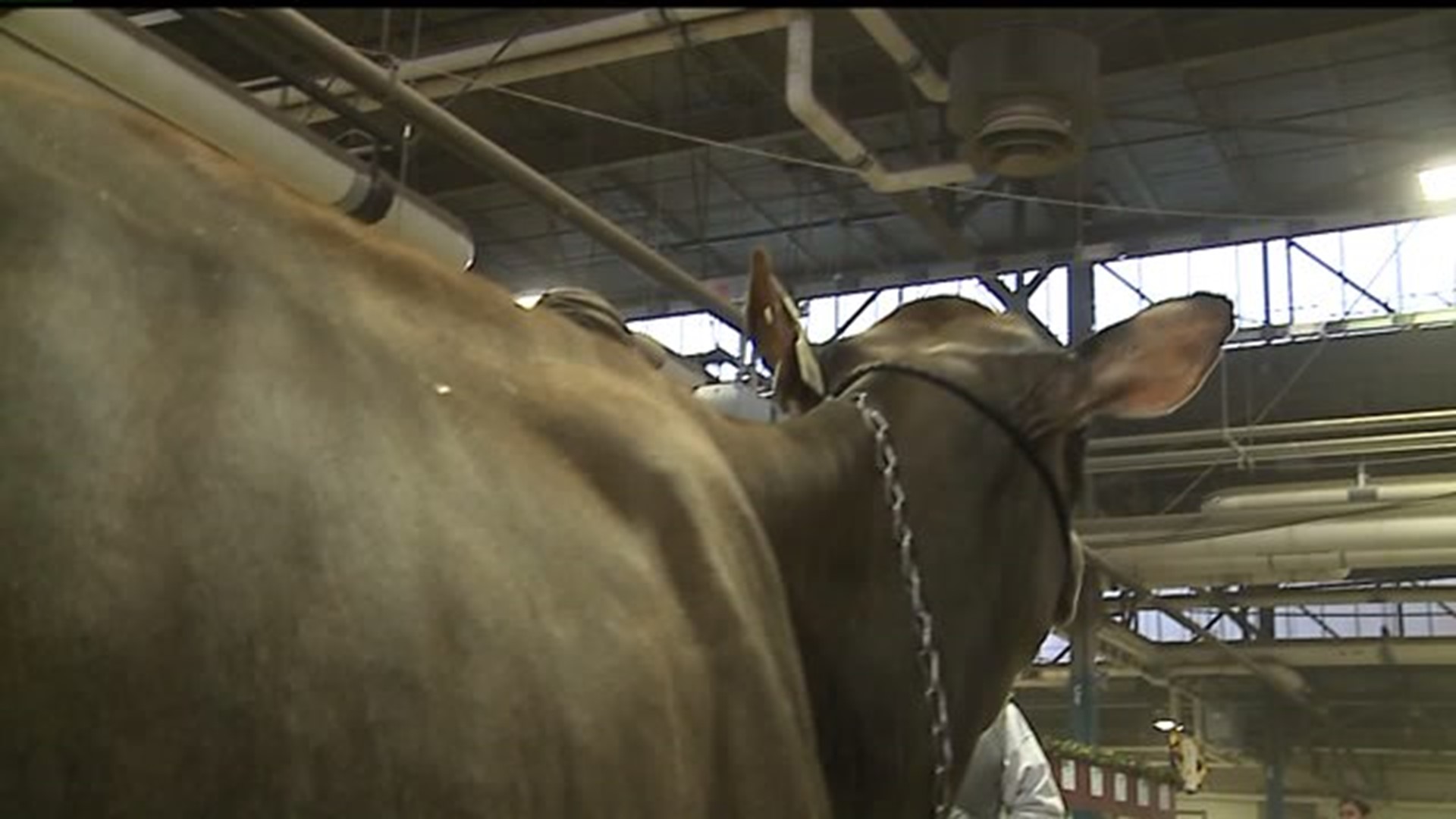 That`s a wrap! 101st PA Farm Show is over, but work still to be done