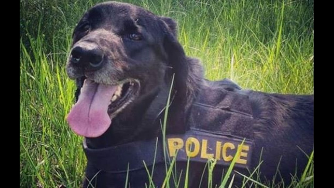 State Police say goodbye to K9 Trooper Spencer, who died recently after ...