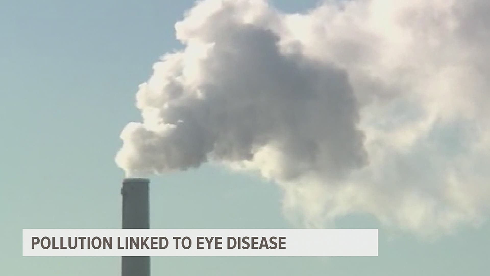 The study links pollution to the development of age-related macular degeneration, a leading cause of blindness in people over 50.