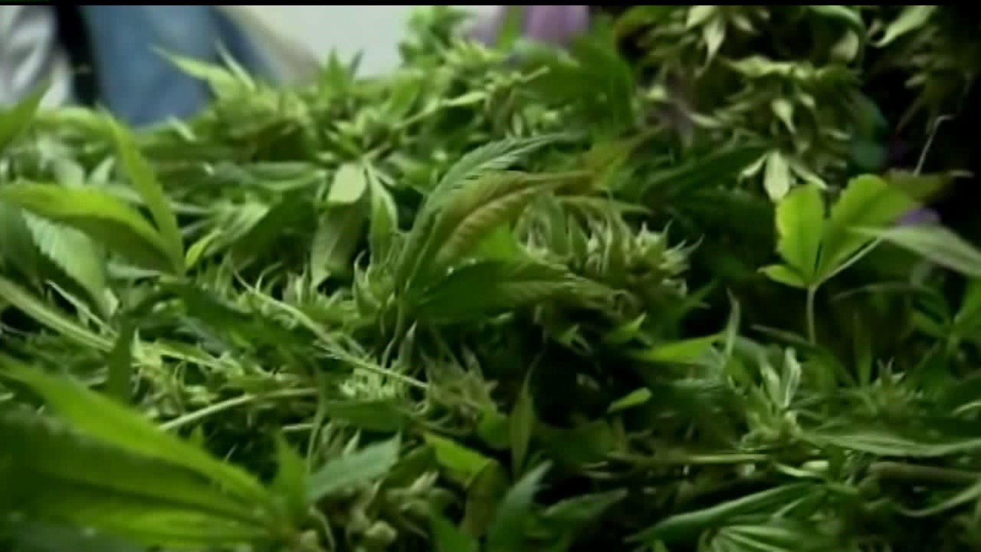 Ordinance to restrict sale marijuana