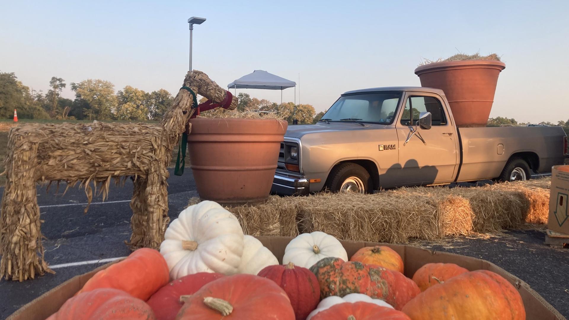 Pumpkin Fest is back at the Middletown Home in Dauphin County this weekend, featuring pumpkins, animals, hayrides, artisans and more.