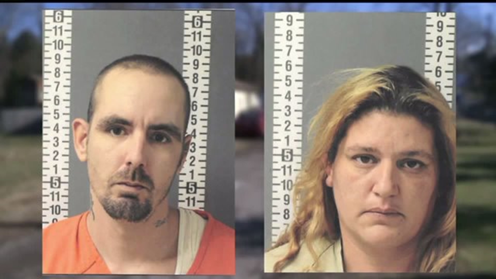 The Dauphin County couple arrested for starving and beating three children is expected in court today