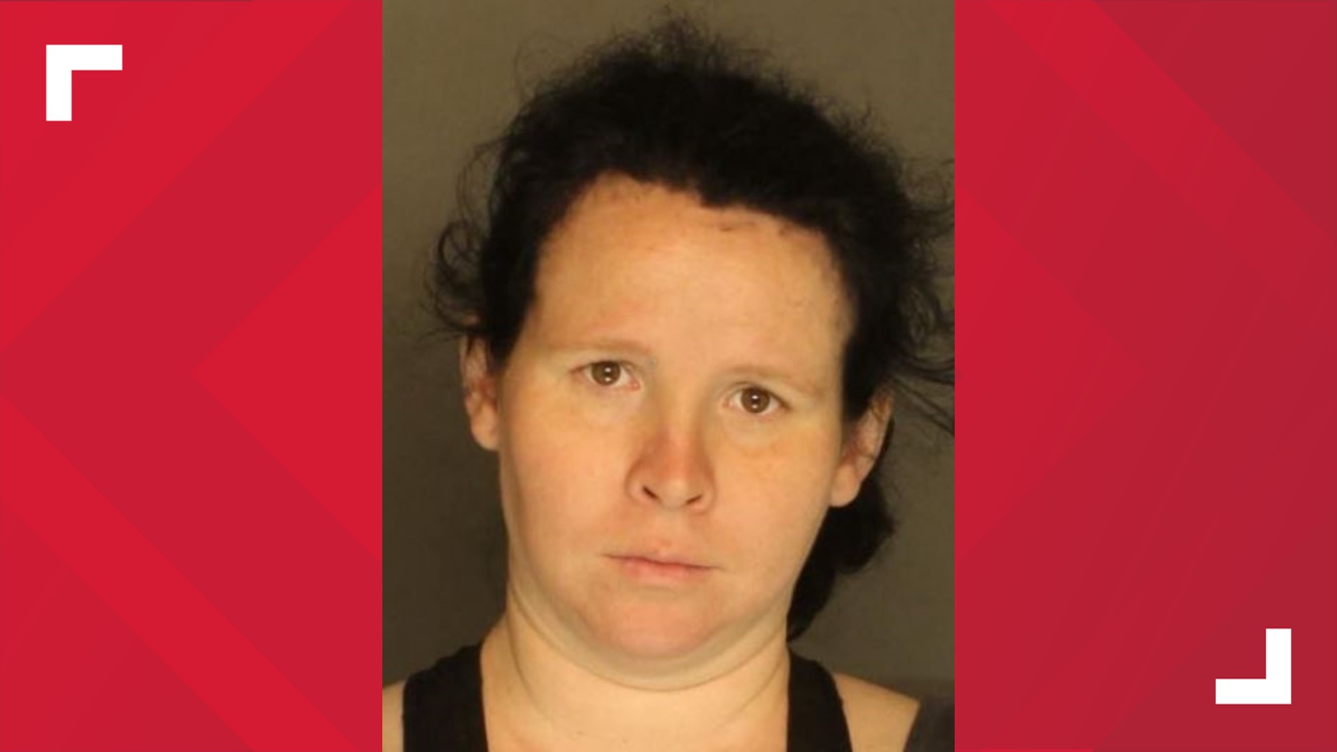 Police: York County woman did nothing to stop physical abuse of child ...