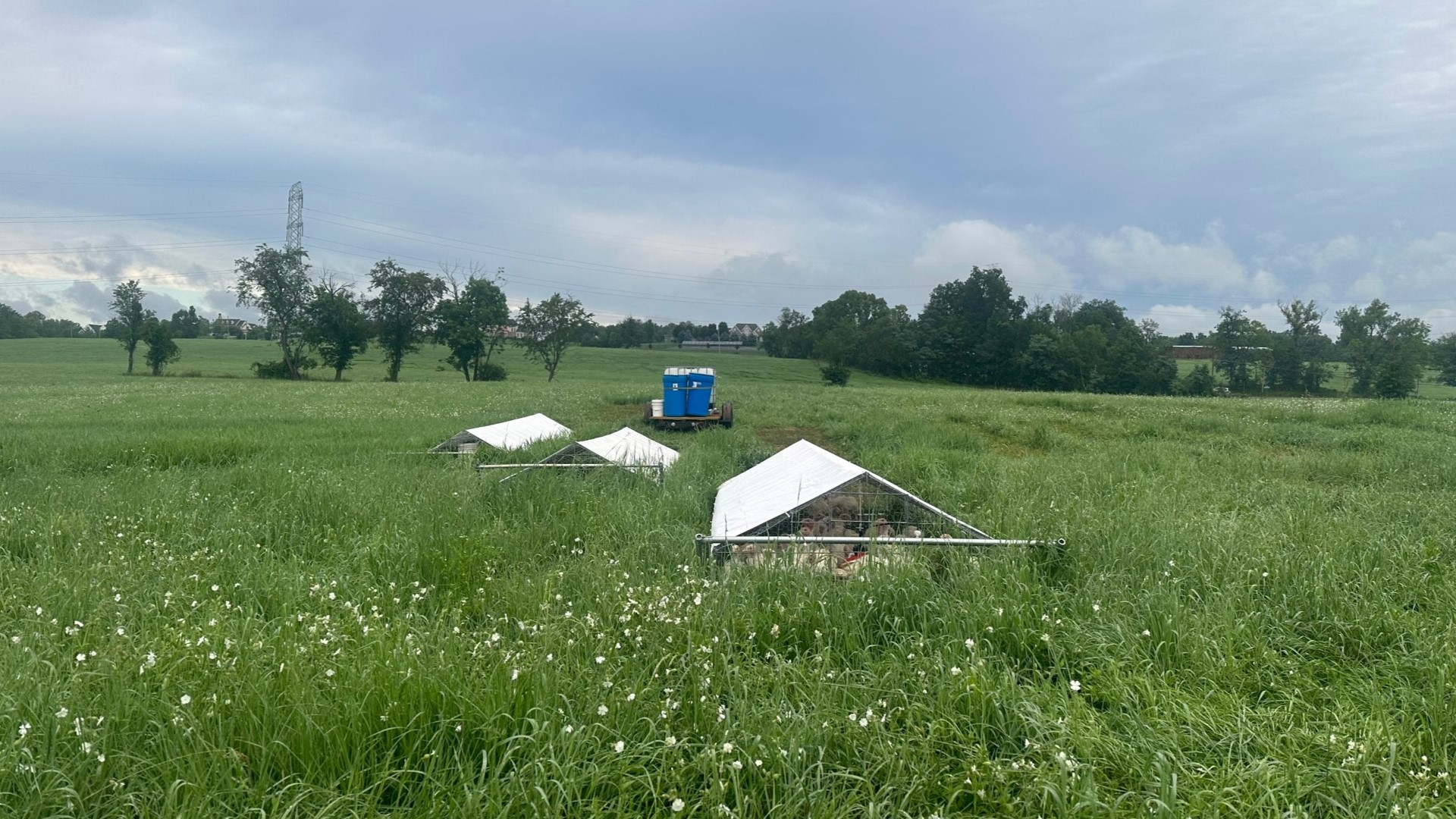 Merry Chase Farm in South Hanover Township is the 20,000th acre of farmland, and 208th farm being preserved in Dauphin County.