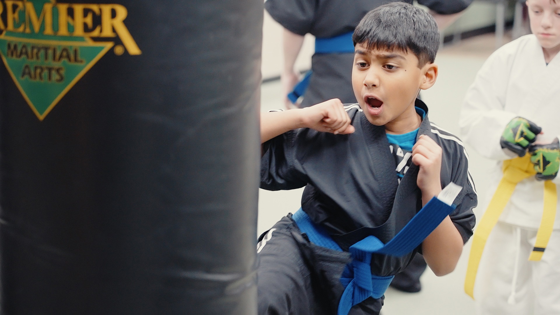 The Mechanicsburg community can learn self defense and enjoy some family fun at Premier Martial Arts' Ninja Carnival this weekend.