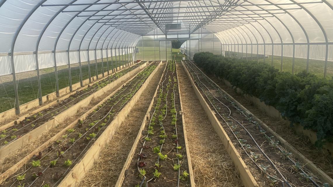 UPMC Memorial Hospital to operate full-time farm on its campus to promote wellness - Vimarsana News