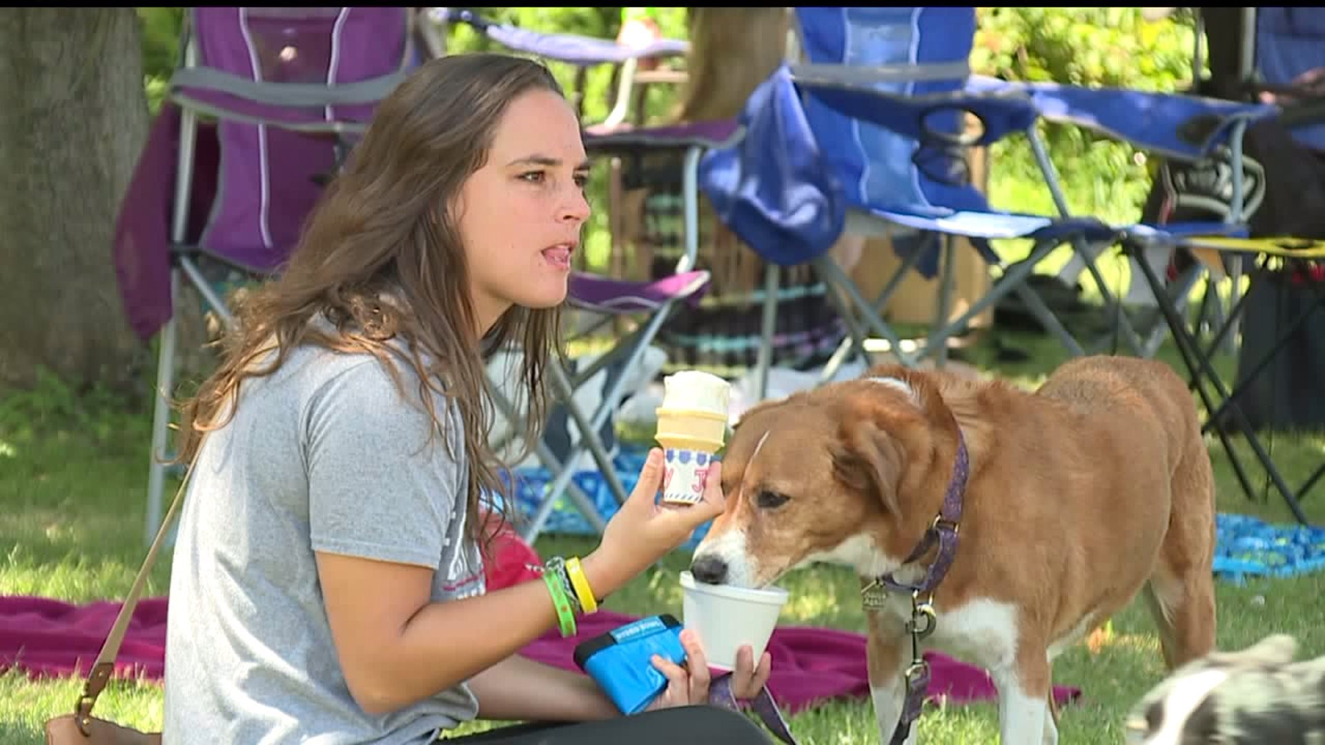 Perry County Animal Rescue holds ‘Barks and Brews’ event | fox43.com