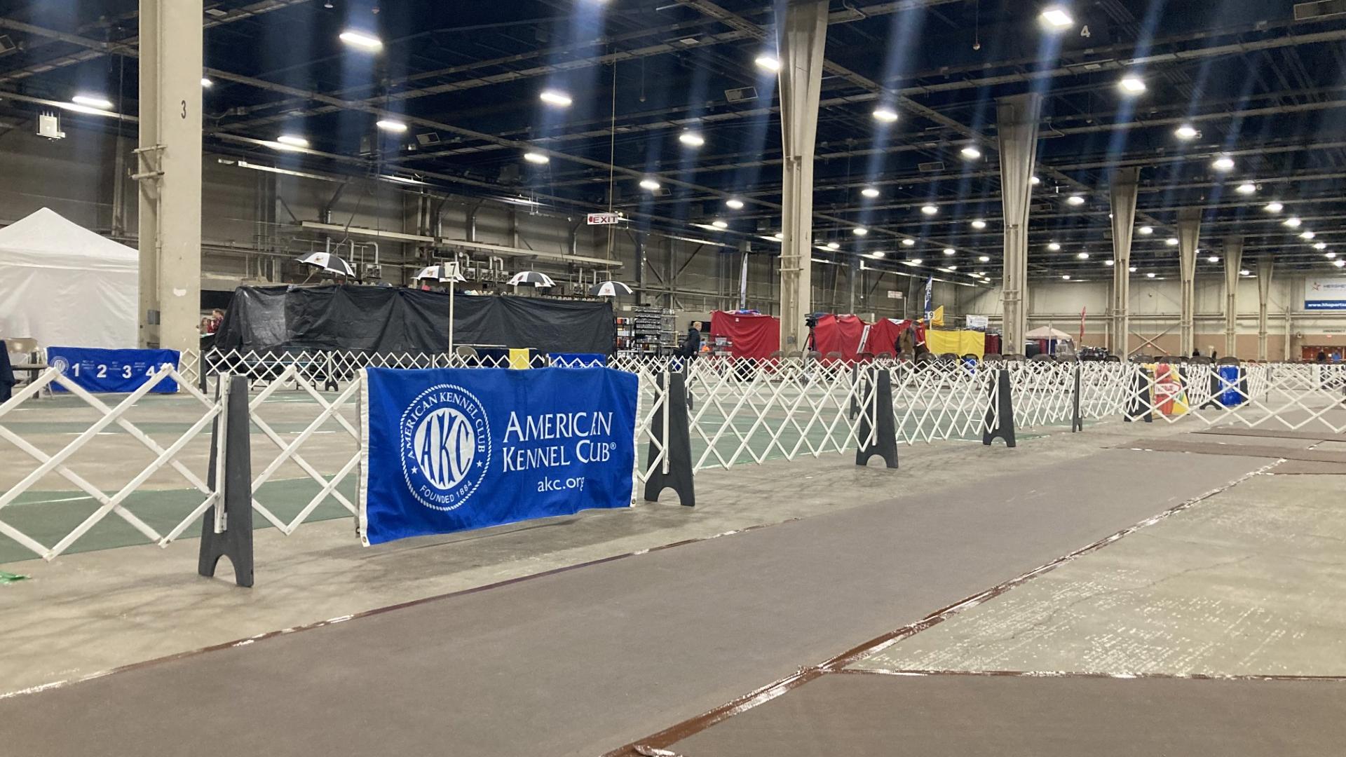 The Blue and Gray Cluster Dog Shows are underway at the Pennsylvania Farm Show Complex this week.