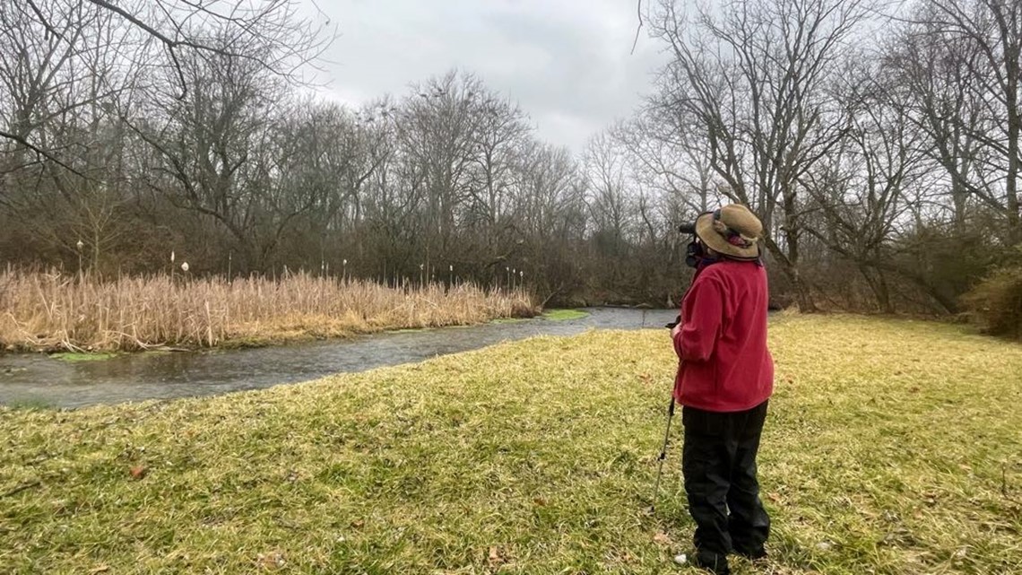 Cumberland Co. woman calling to protect bald eagles from helicopter