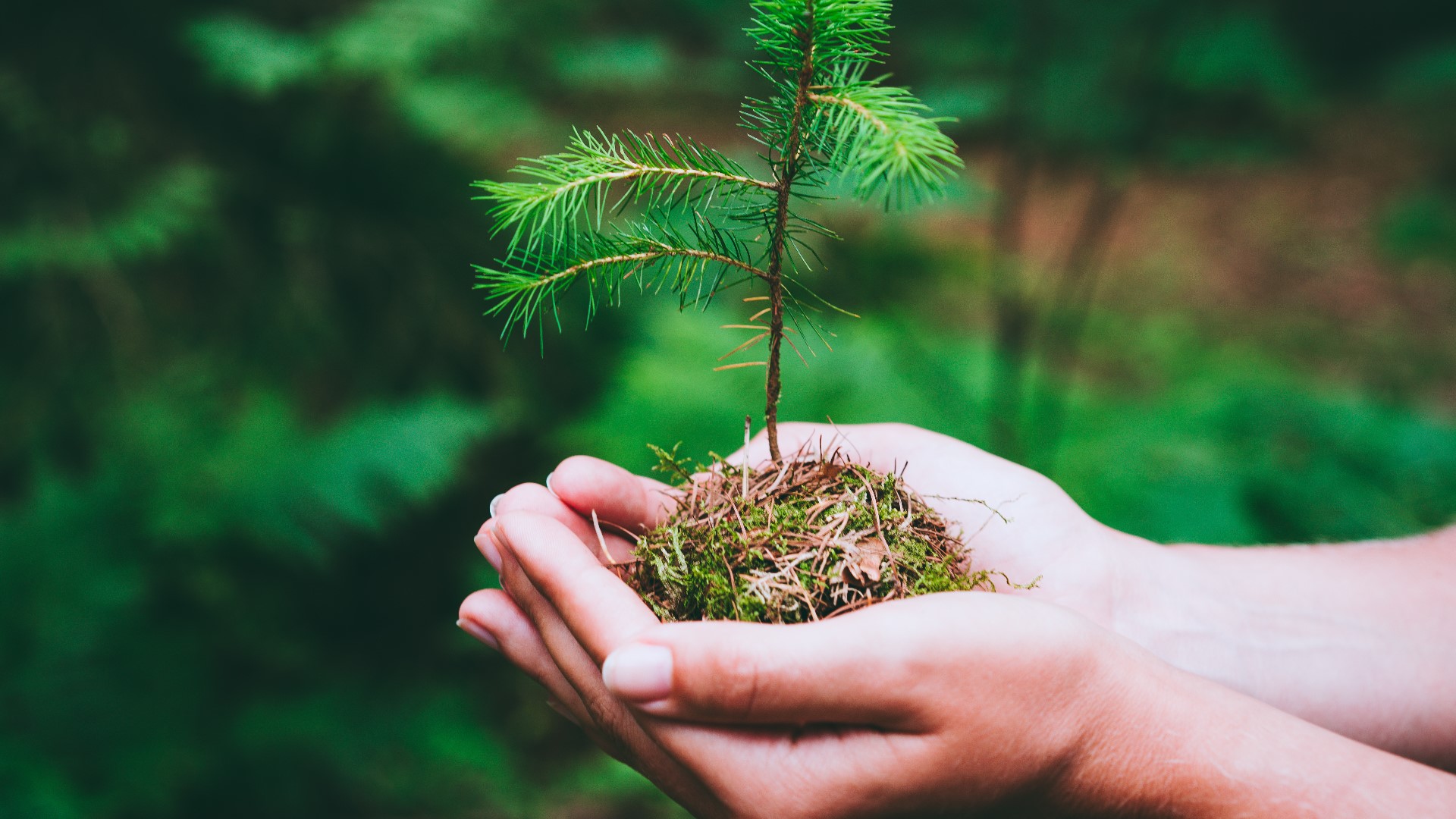 The group Science Moms is urging families across the U.S. to start the conversation about where your energy comes from and how you can make changes this Earth Month.