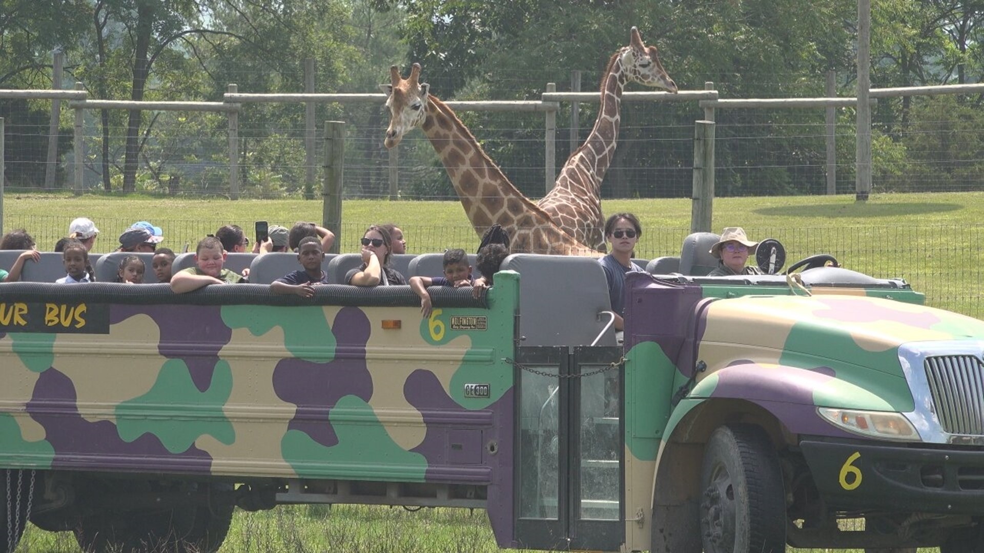 With more than 1,000 animals from six different continents, there's plenty for families to see and learn about at the Wildlife Park in Dauphin County