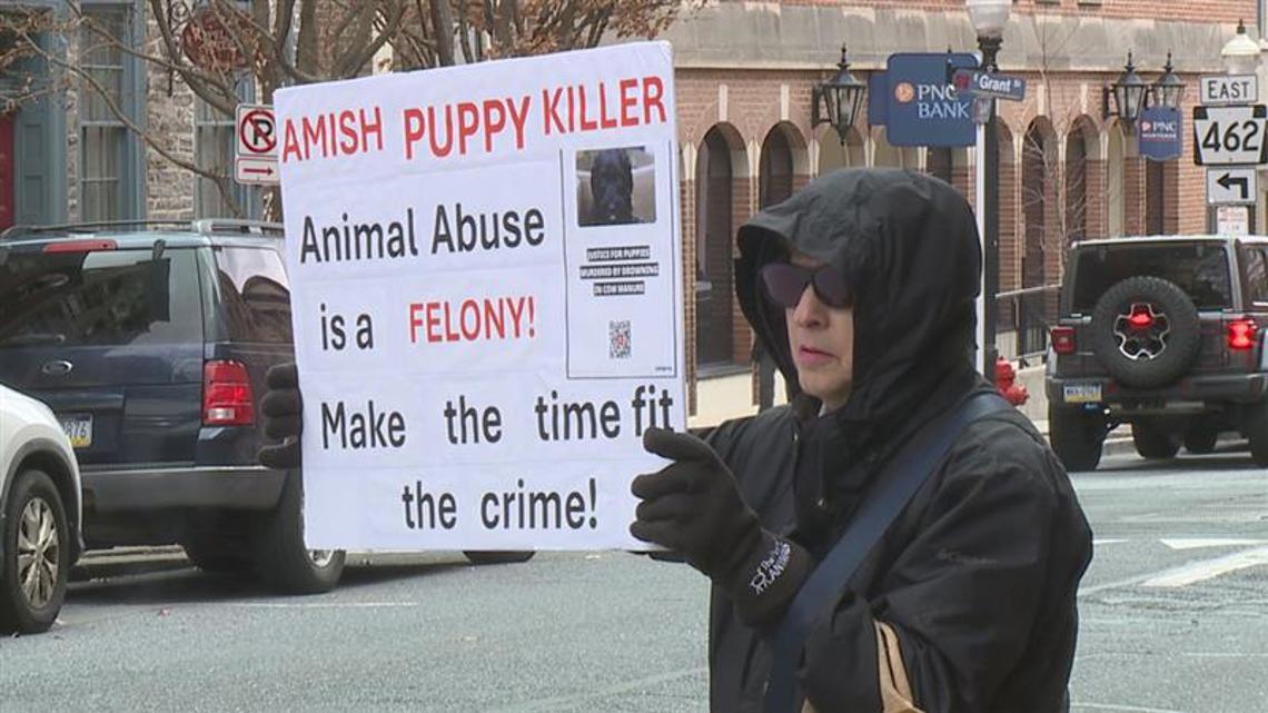 Lancaster County man accused of illegally euthanizing four puppies has court hearing delayed again