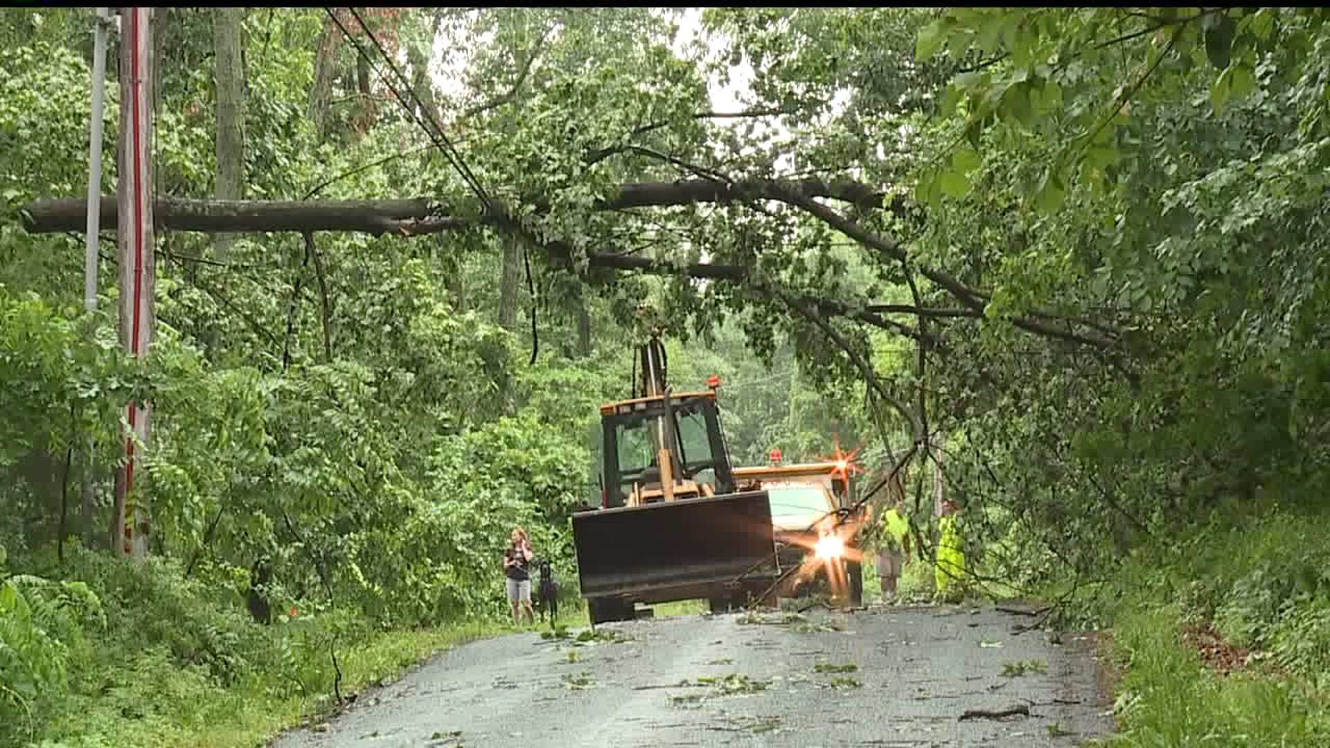 Crews work to clear debris from roads in York County after storm