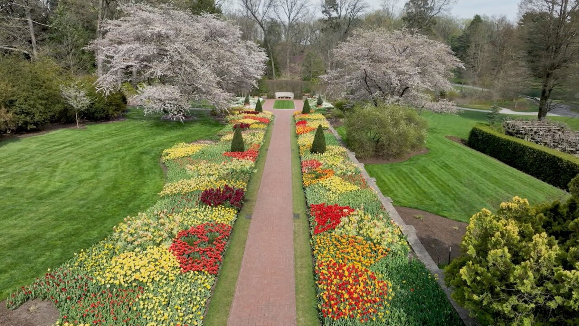 Spring bloom season runs from March 30 to April 29 at Longwood Gardens, showcasing hundreds of thousands of beautiful and vibrant plants and flowers.