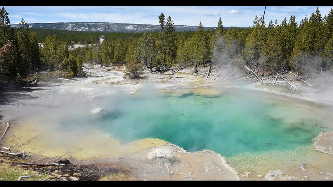 Man presumed dead after falling into Yellowstone hot spring | fox43.com