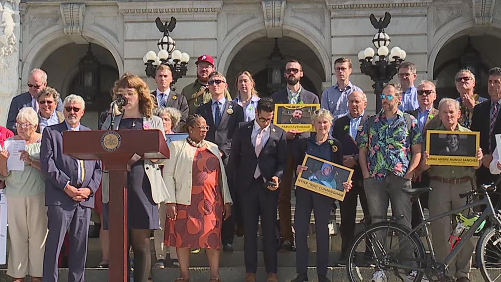 Families of people killed while biking or walking asked elected officials on Monday to legalize parking-protected bike lanes.