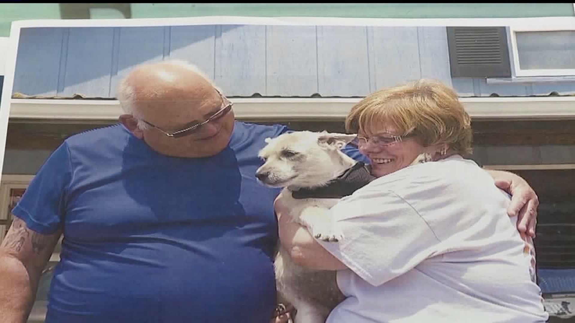 Family wants justice for stolen dog