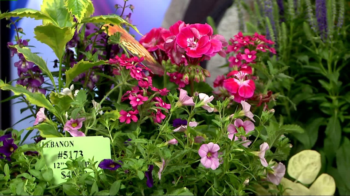 Royer’s offers a number of fresh flower options for Mother’s Day