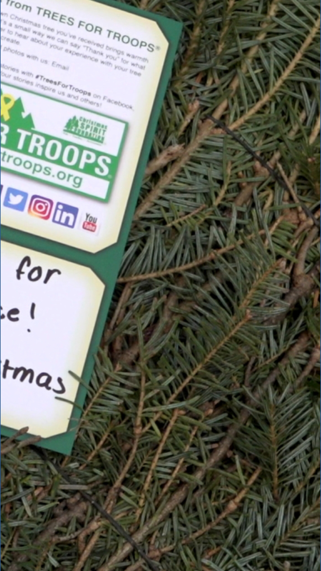 Christmas tree farm gives back to veterans as part of "Trees for Troops ...