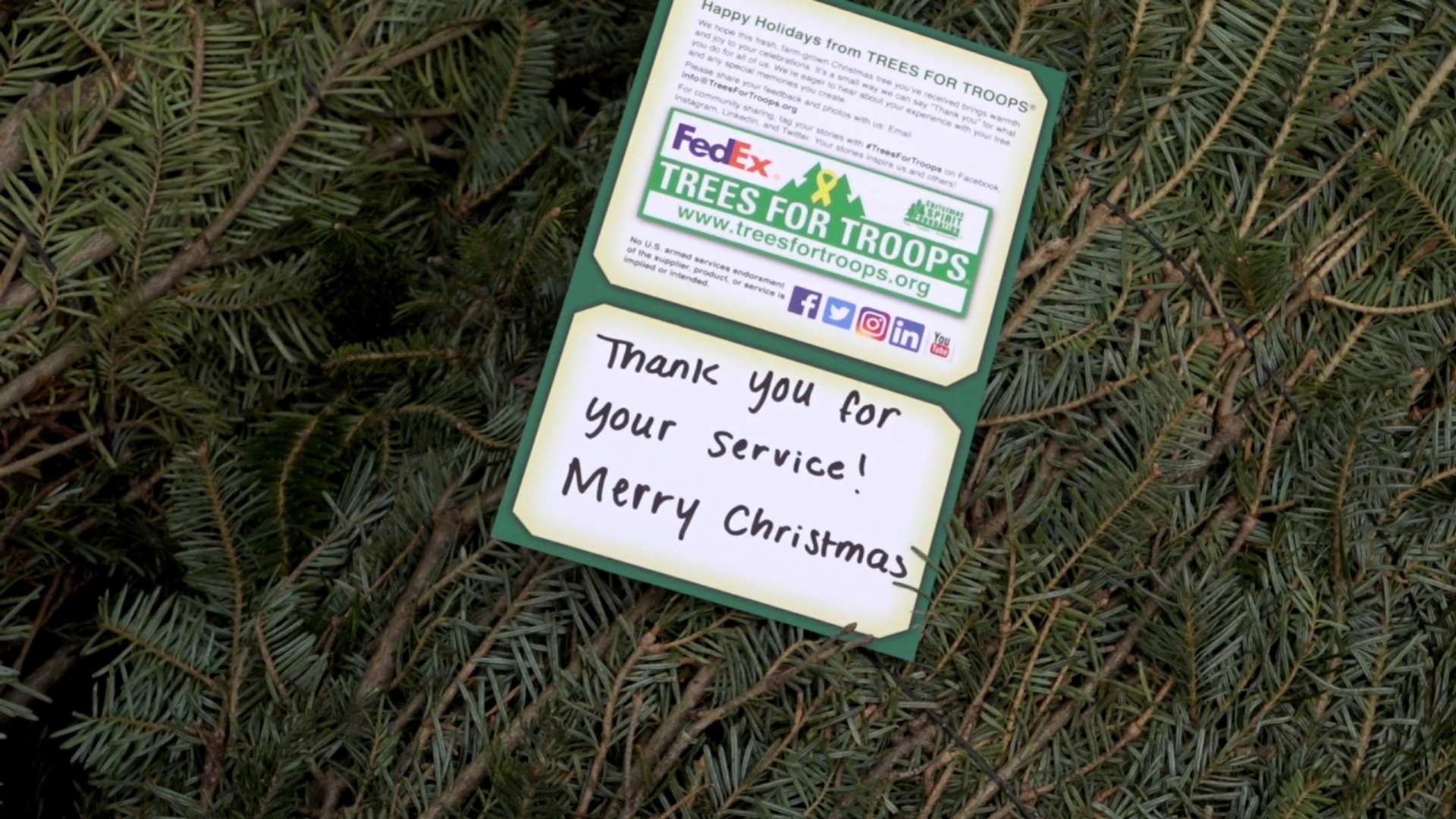 Christmas tree farm gives back to veterans as part of "Trees for Troops ...