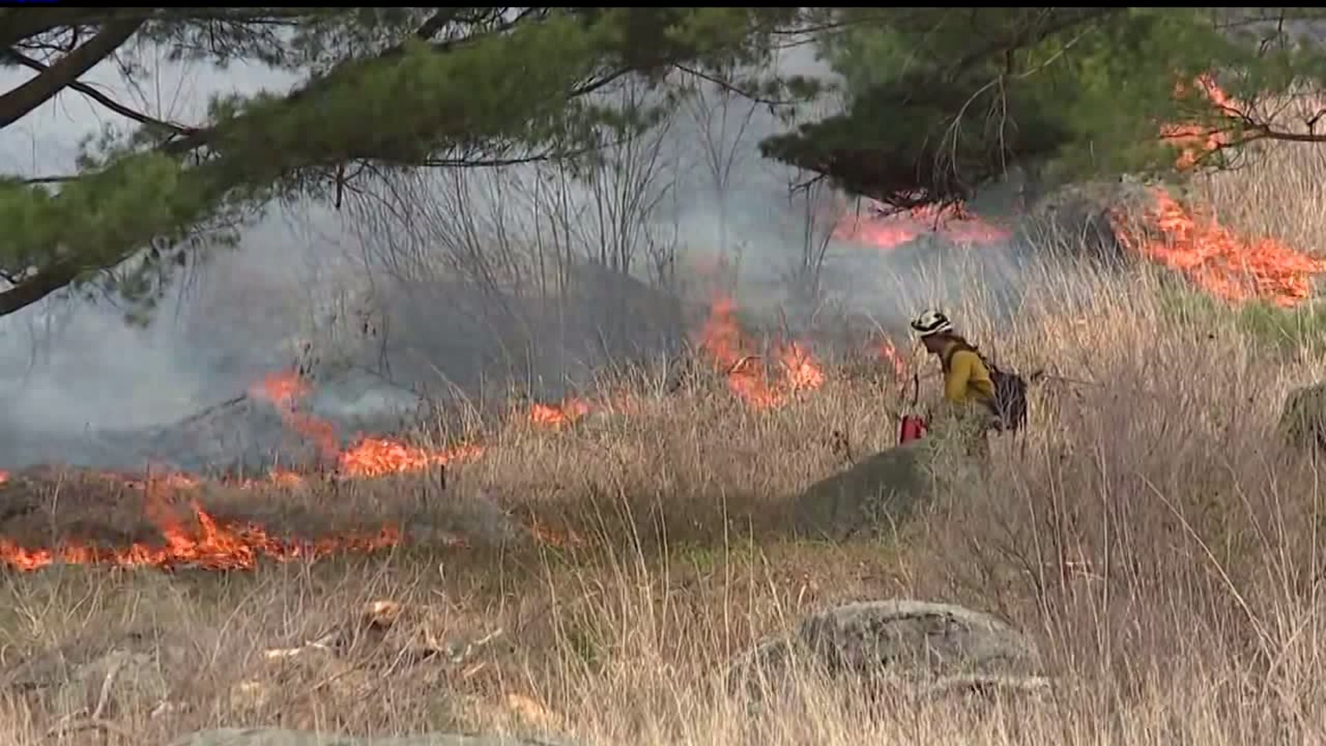 Controlled burn at Little Round Top in Gettysburg