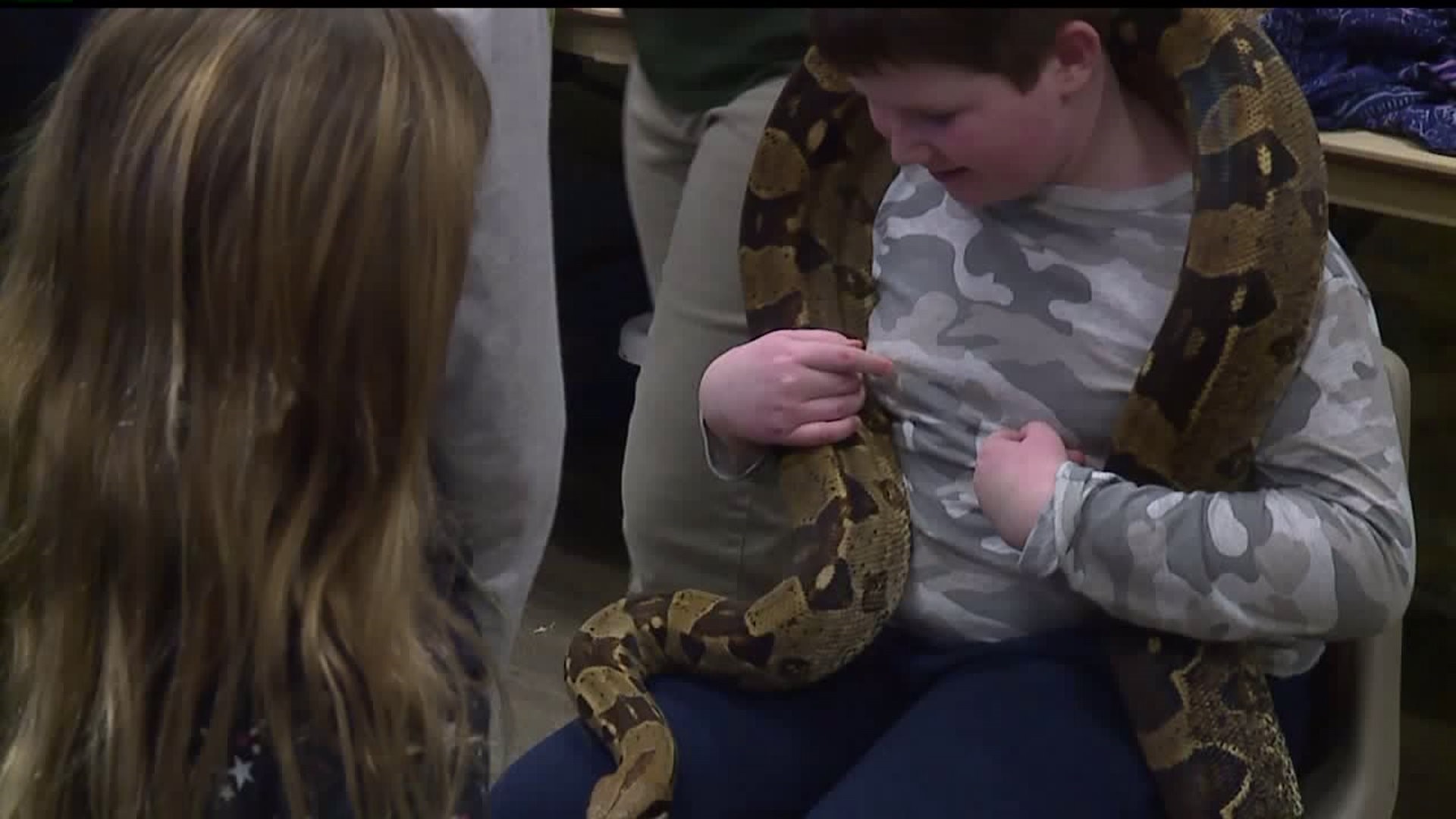 Kids of all ages exploring the world of turtles and snakes