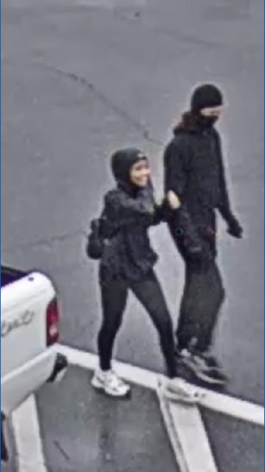 Carlisle Police seek two suspects in vehicle theft case | fox43.com