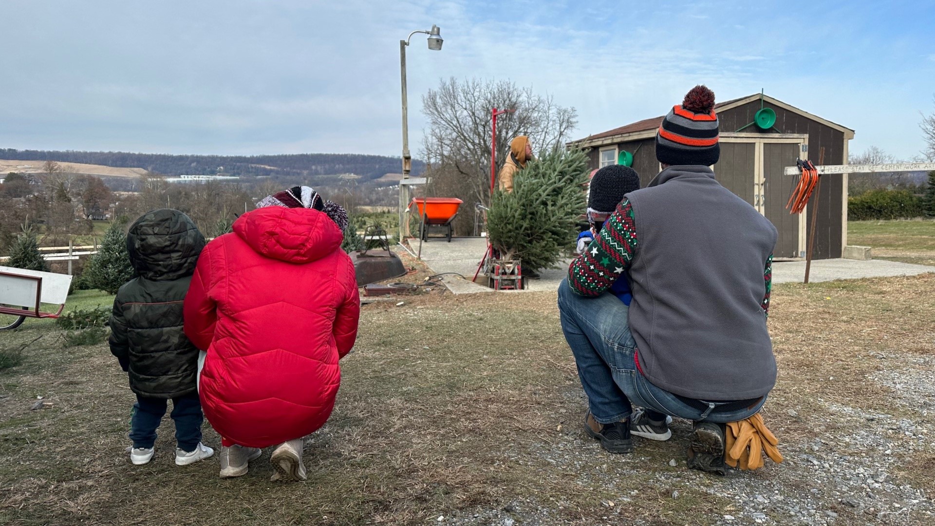 FOX43's Tyler Hatfield goes to a local Christmas tree farm in York County to learn what it takes to make the perfect Christmas tree.