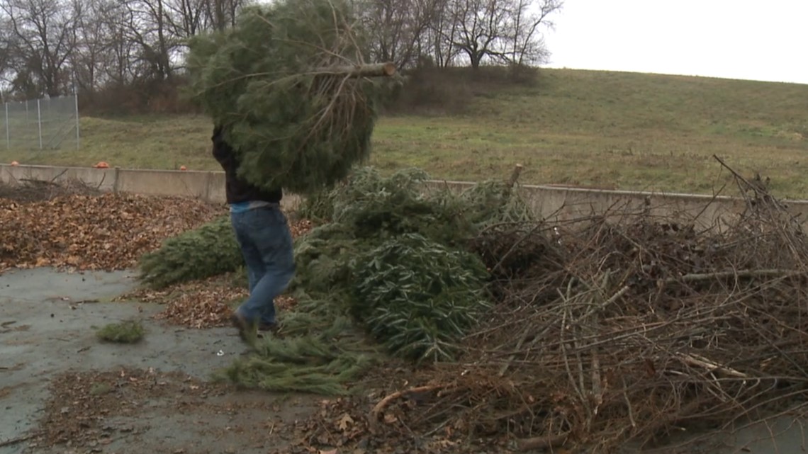 York County's free Christmas tree recycling program kicks off | fox43.com