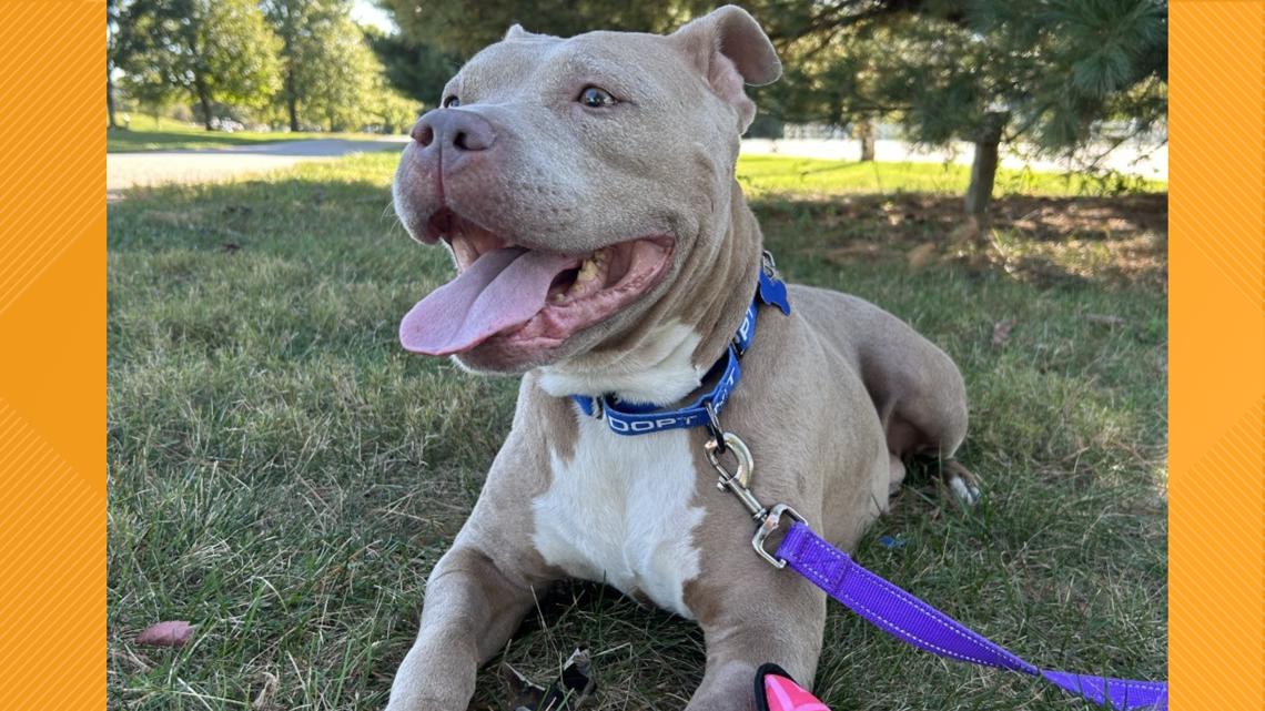 edbf2823 5115 44b1 a592