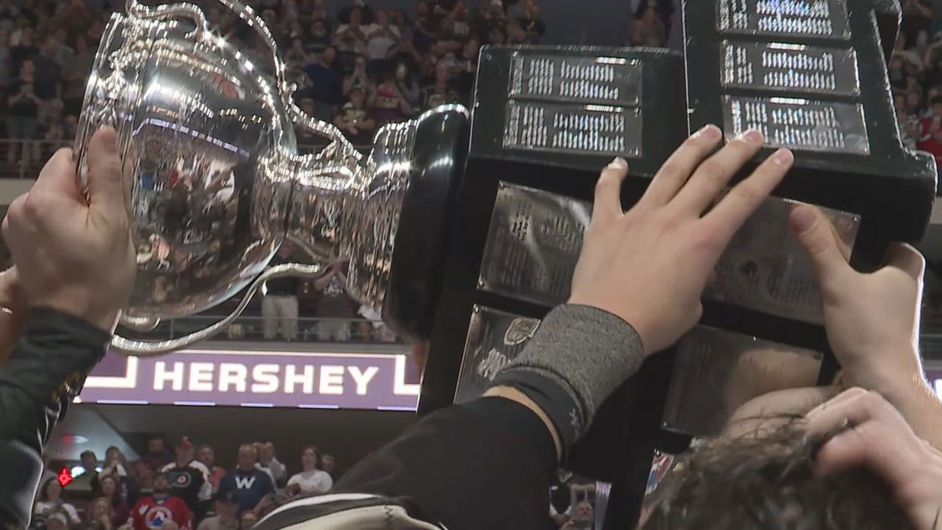 Here's a look back at the path the Hershey Bears took to their 13th Calder Cup.