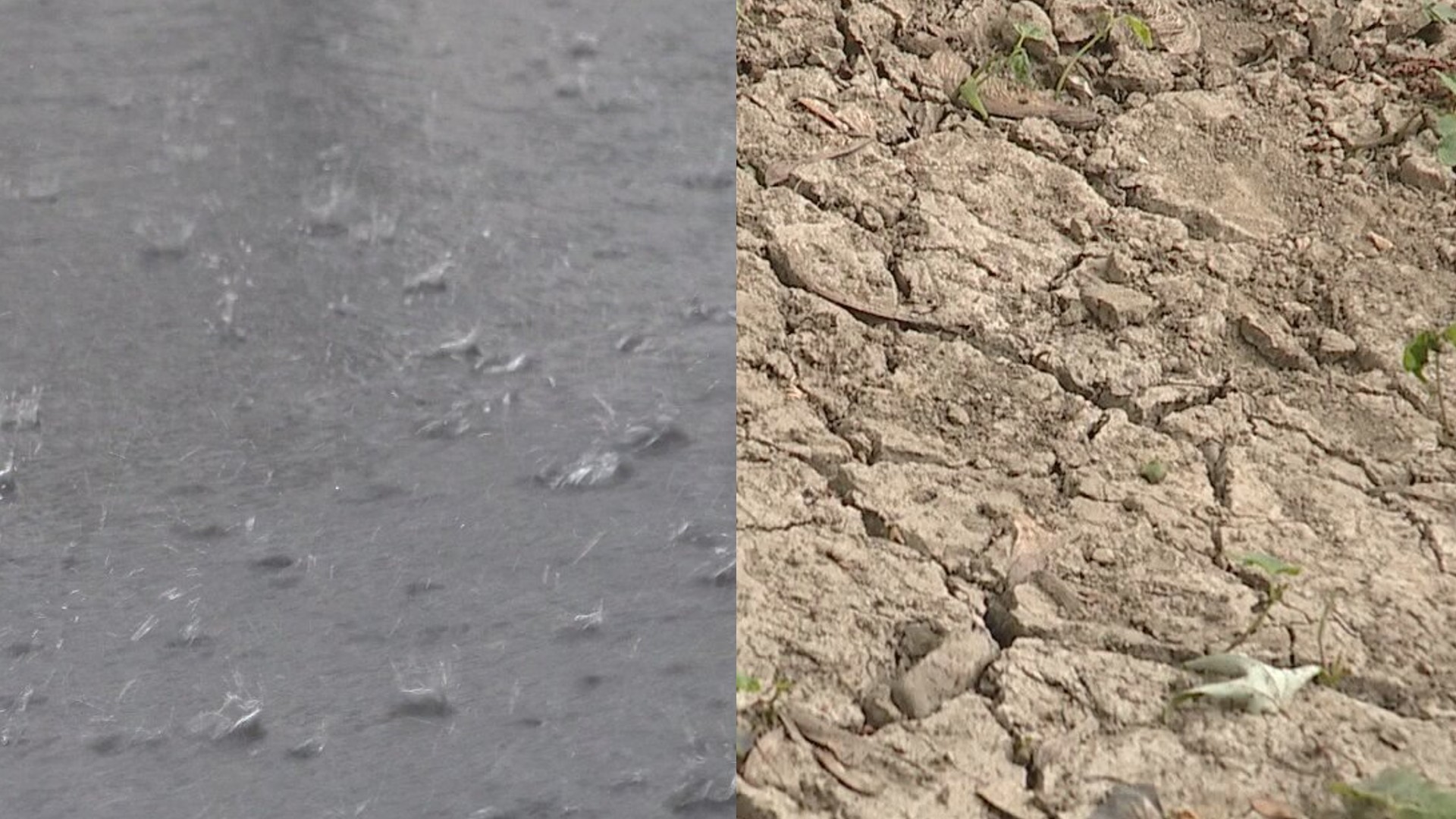 Experts say several weeks of rain is needed to alleviate dry conditions that have caused burn bans and water shortages across the region.