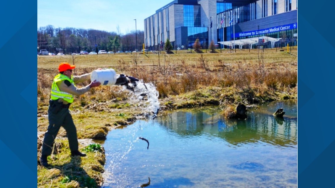 Swarr Run reopens to anglers | fox43.com