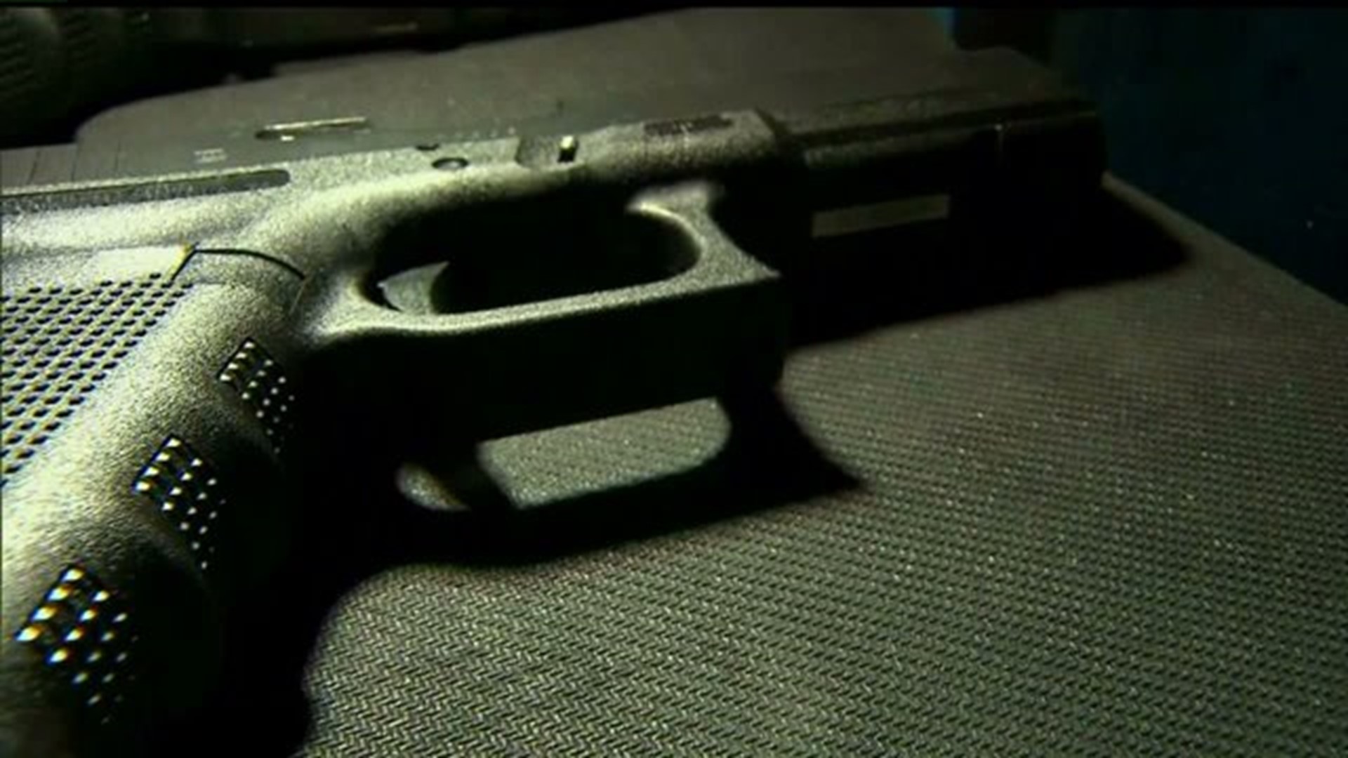 Legal Battle Over Gun Laws in Harrisburg