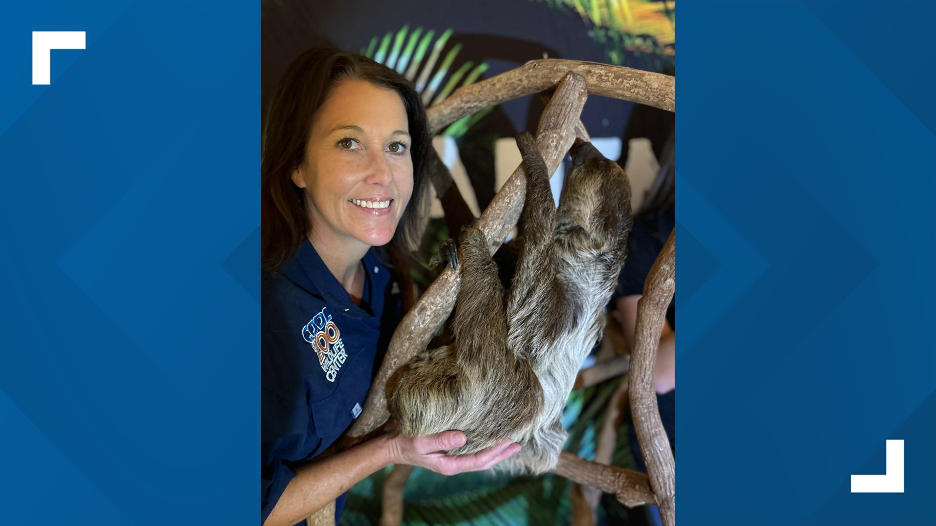 Exotic animals including giant snakes, chameleons, alligators, crocodiles, monkeys and sloths will visit the York State Fair this year.