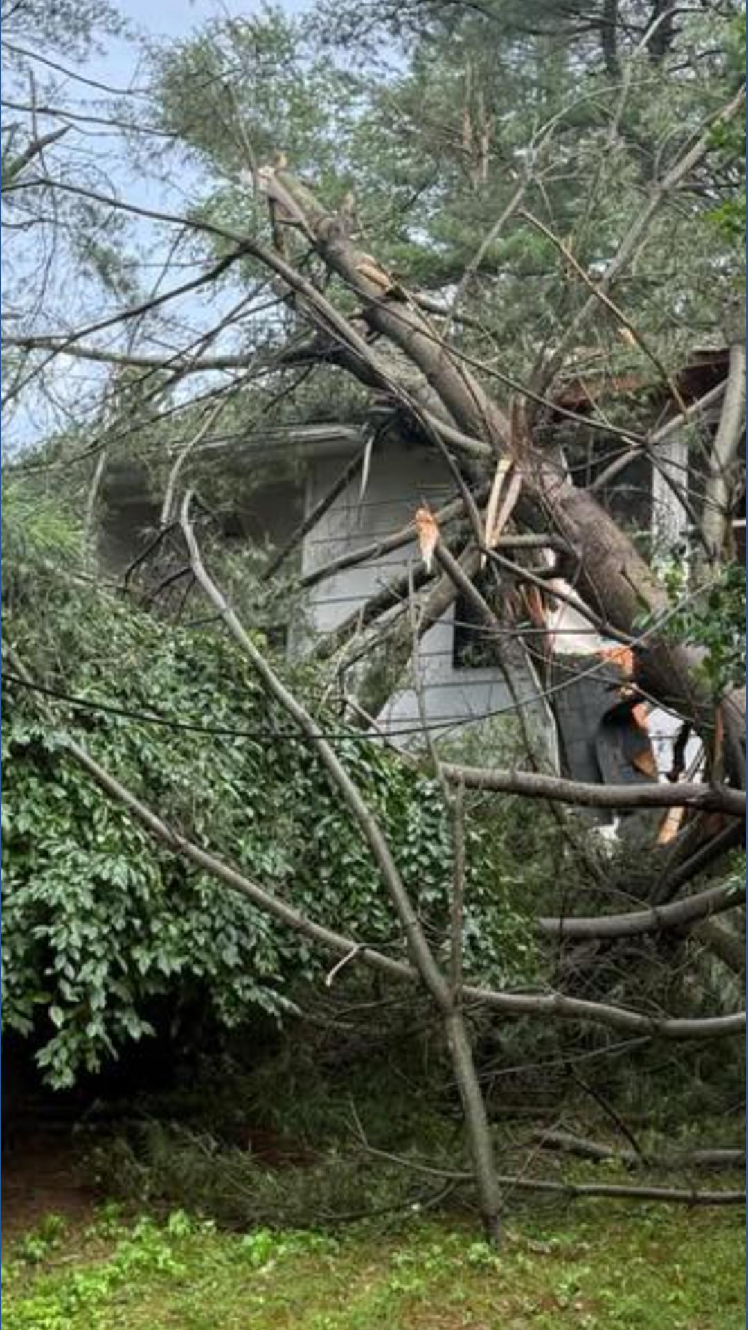 Large tree damages house in Lancaster County | fox43.com