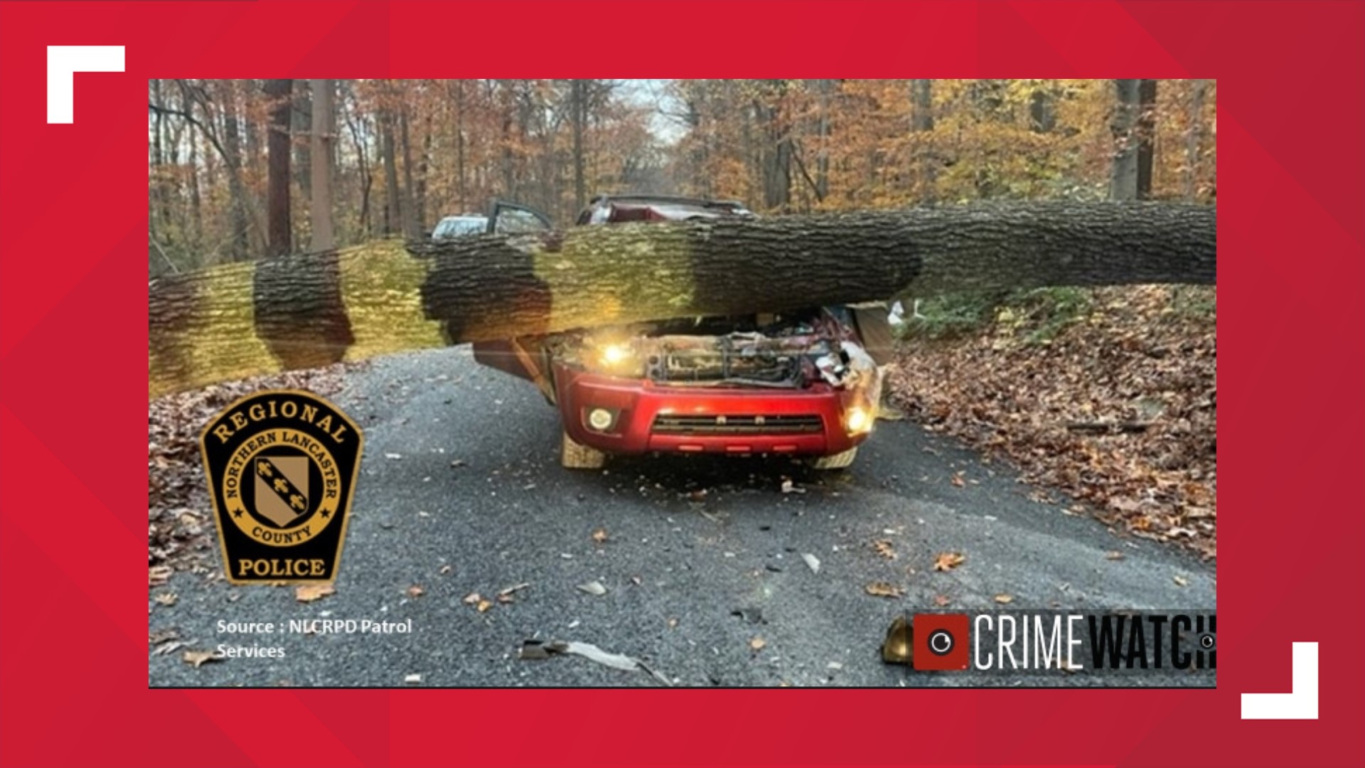 Tree falls on vehicle in Lancaster County leaving one injured | fox43.com