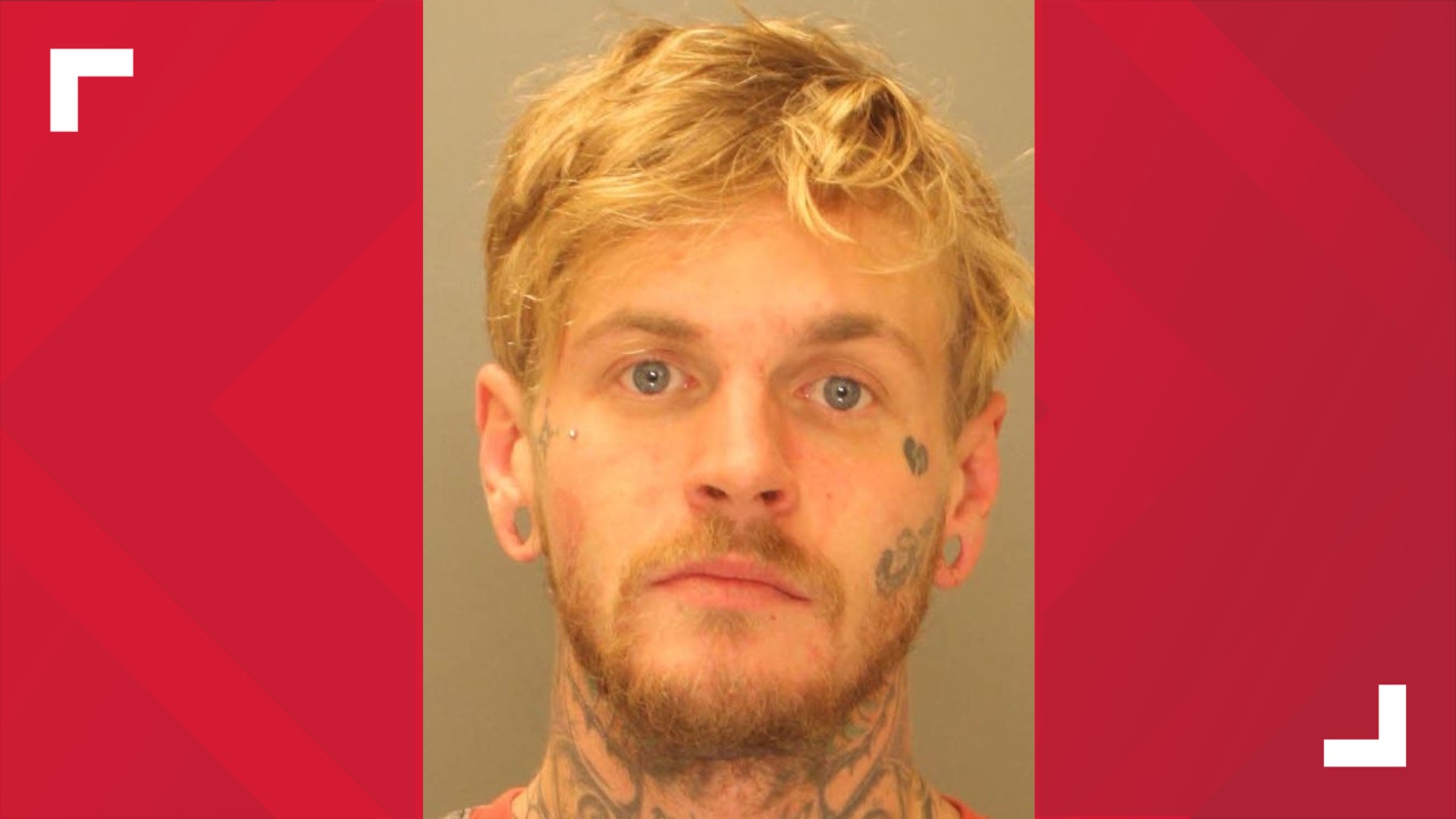 York County man charged with assault after allegedly biting 10-month ...