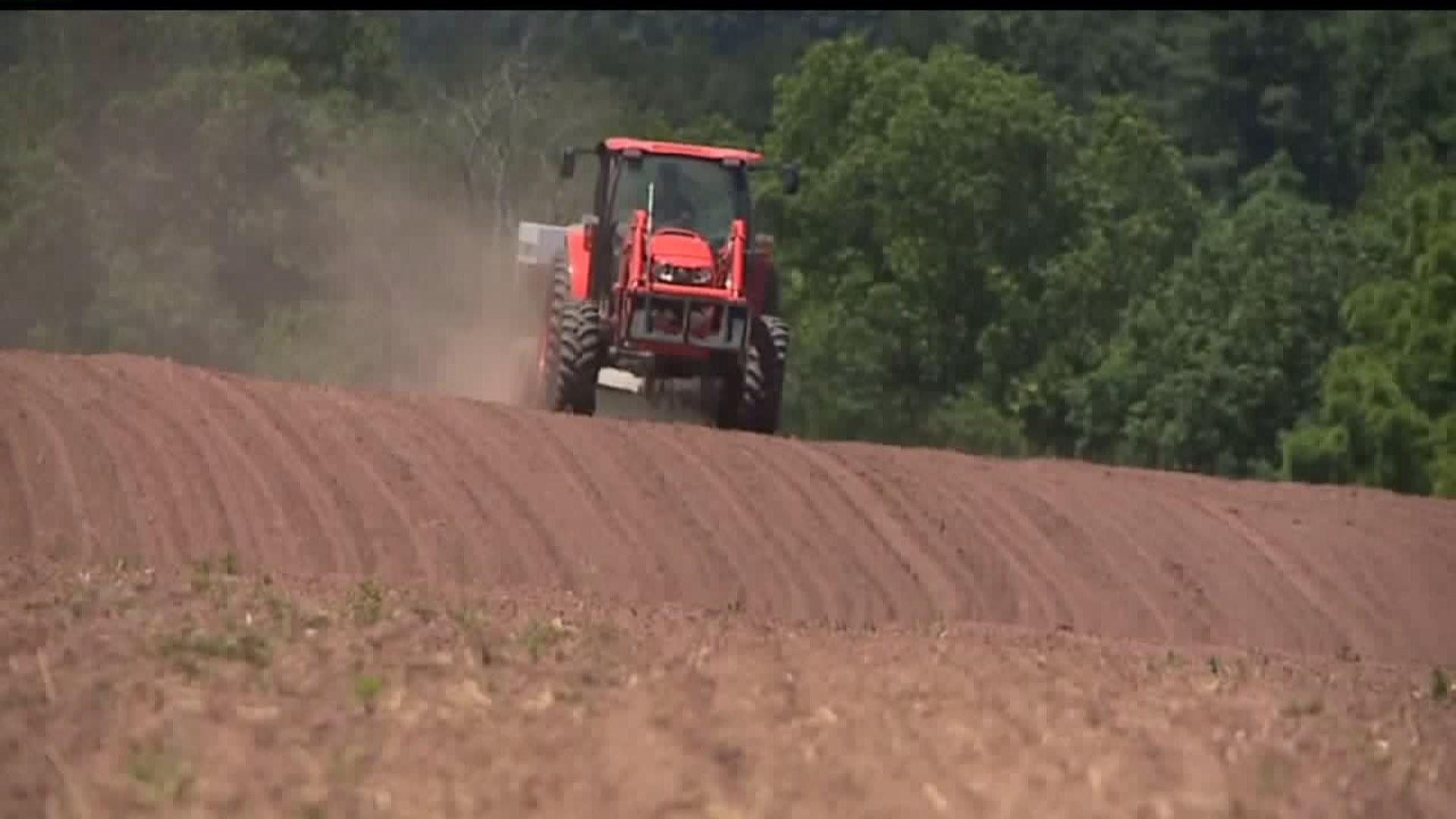 First legal industrial hemp plants grow in Perry County
